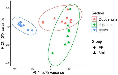 Malnourishment affects gene expression along the length of the small intestine